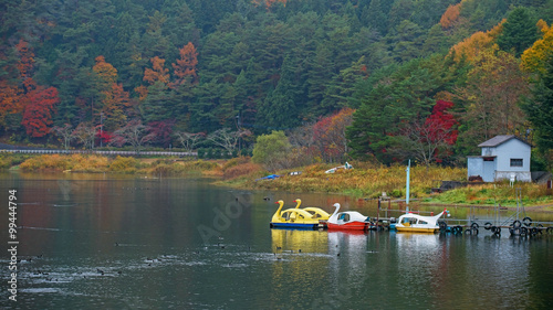 Swan Boats at Kawaguchiko lake