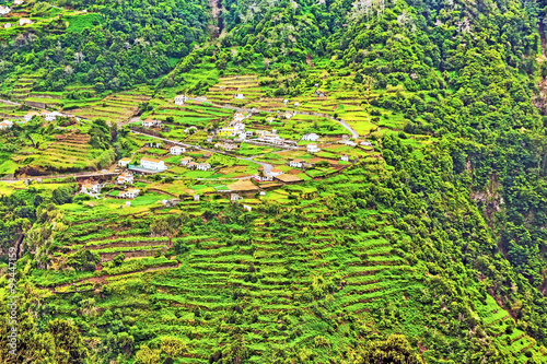 Terraced hills, Madeira