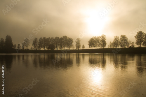 Bäume im Nebel