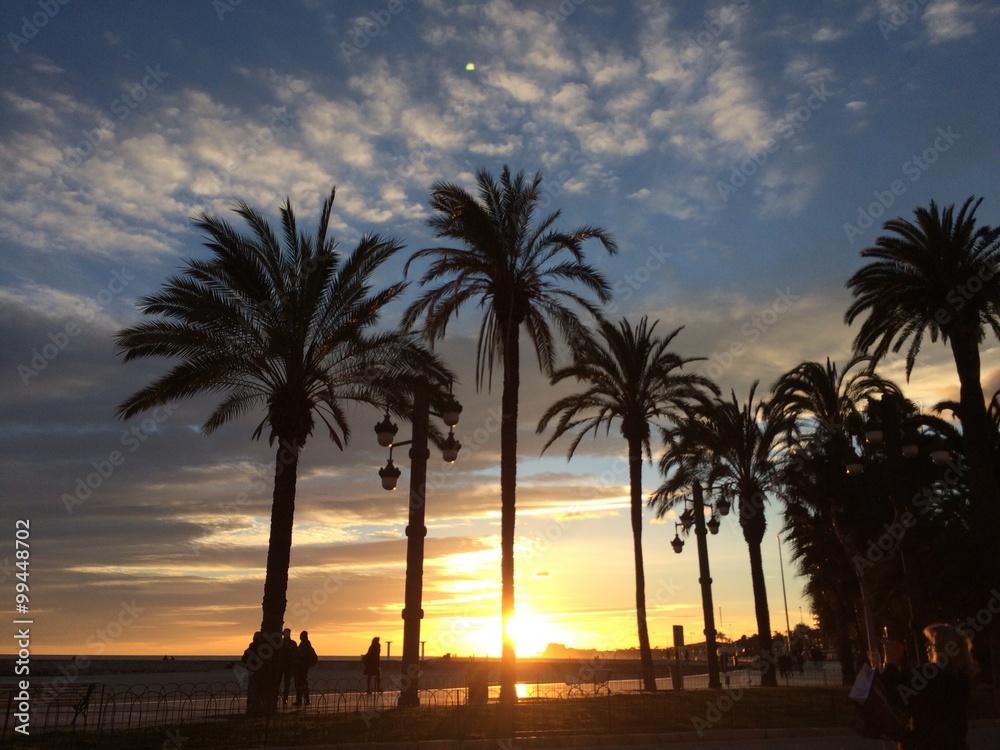 Obraz premium palm trees