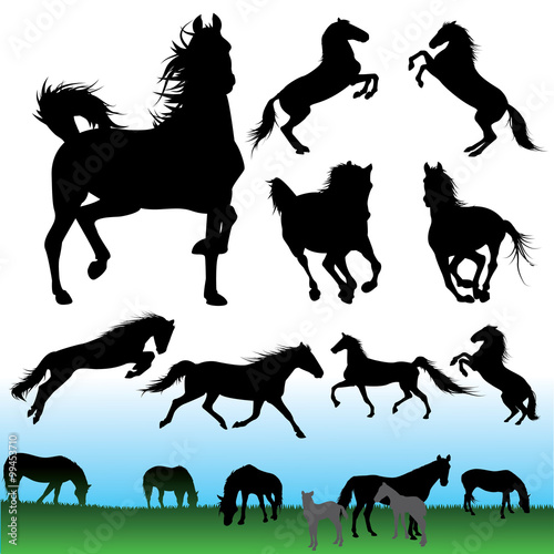 Horses silhouettes set