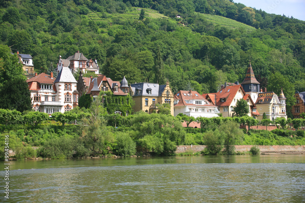 Germania,Heidelberg,case lungo il fiume.