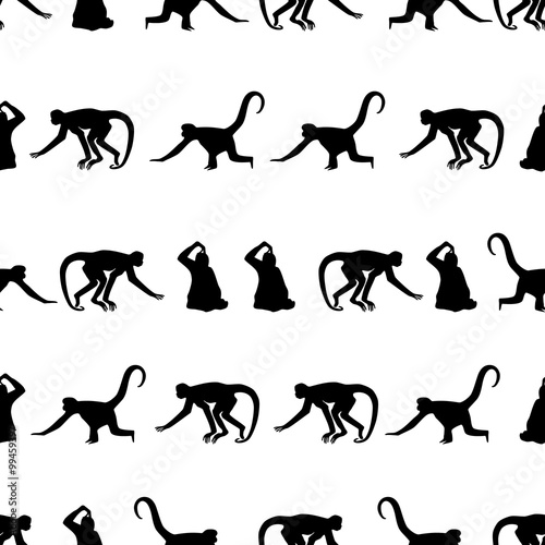 monkey black shadows silhouette in lines pattern eps10