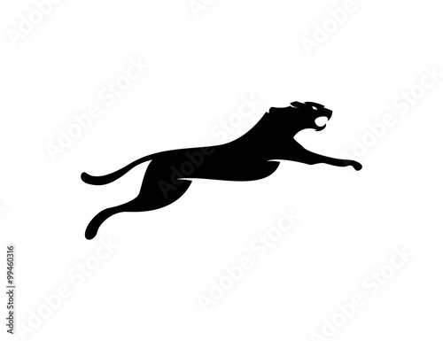 Cheetah logo
