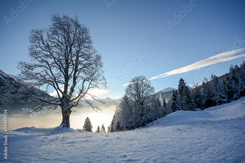 View to a winter landscape with old tree and valley near Bad Gastein, Pongau Alps - Salzburg Austria Europe photo