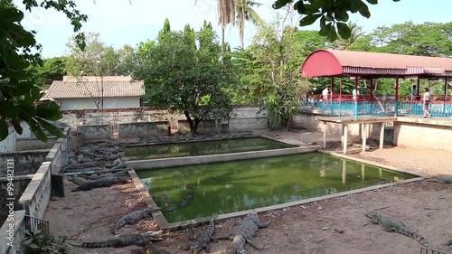 Crocodiles at crocodile farm in Siem Reap, Cambodia photo