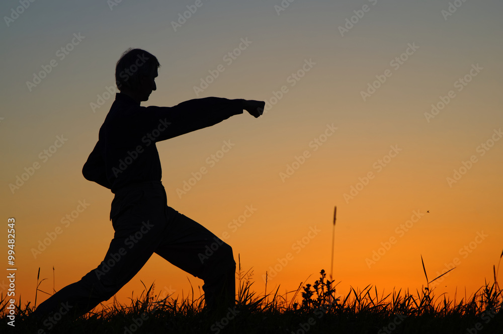 Man practicing karate on the grassy horizon after sunset. Punch, gyaku-cuki. Art of self-defense. Silhouette against a bright orange sky.