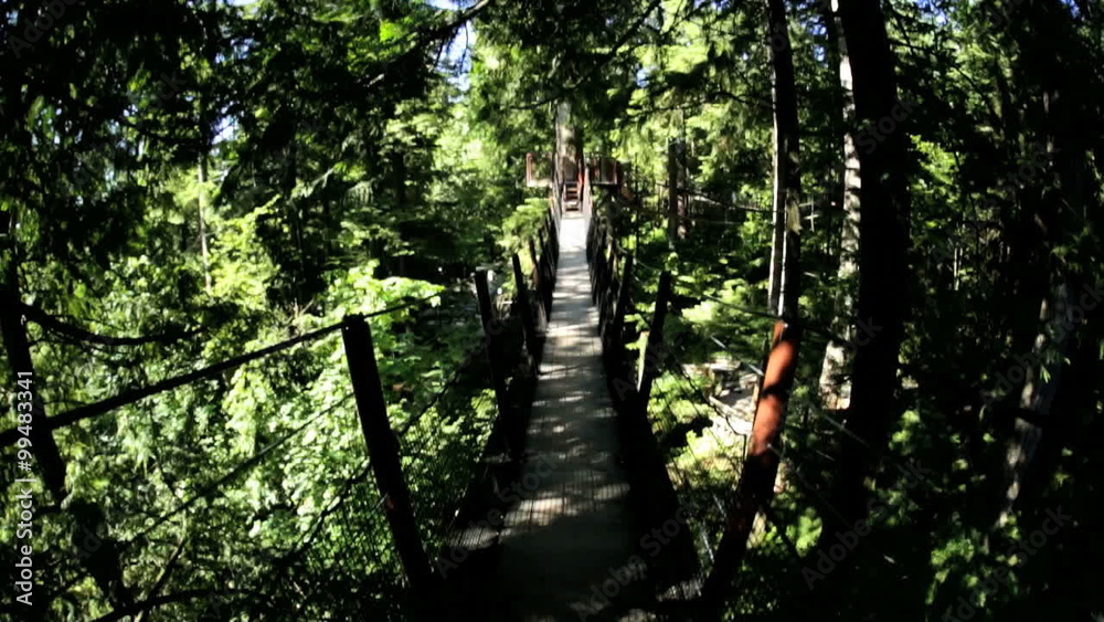 POV motion suspended Treetop footbridge canopy Capilano Vancouver Canada POV motion suspended Treetop footbridge canopy Capilano Vancouver Canada