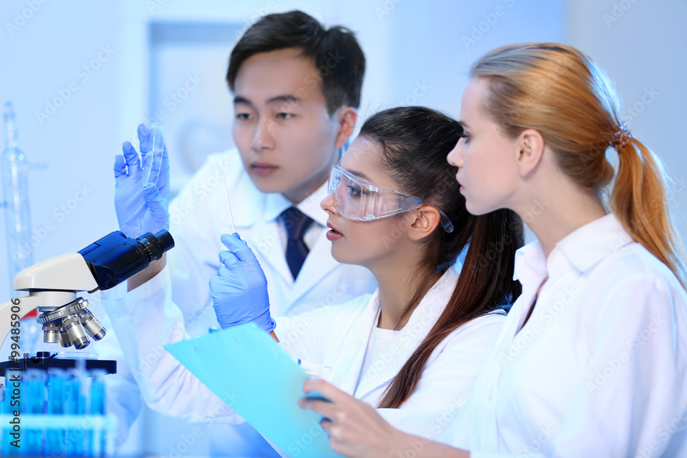 Fototapeta premium Young medical technicians working in laboratory