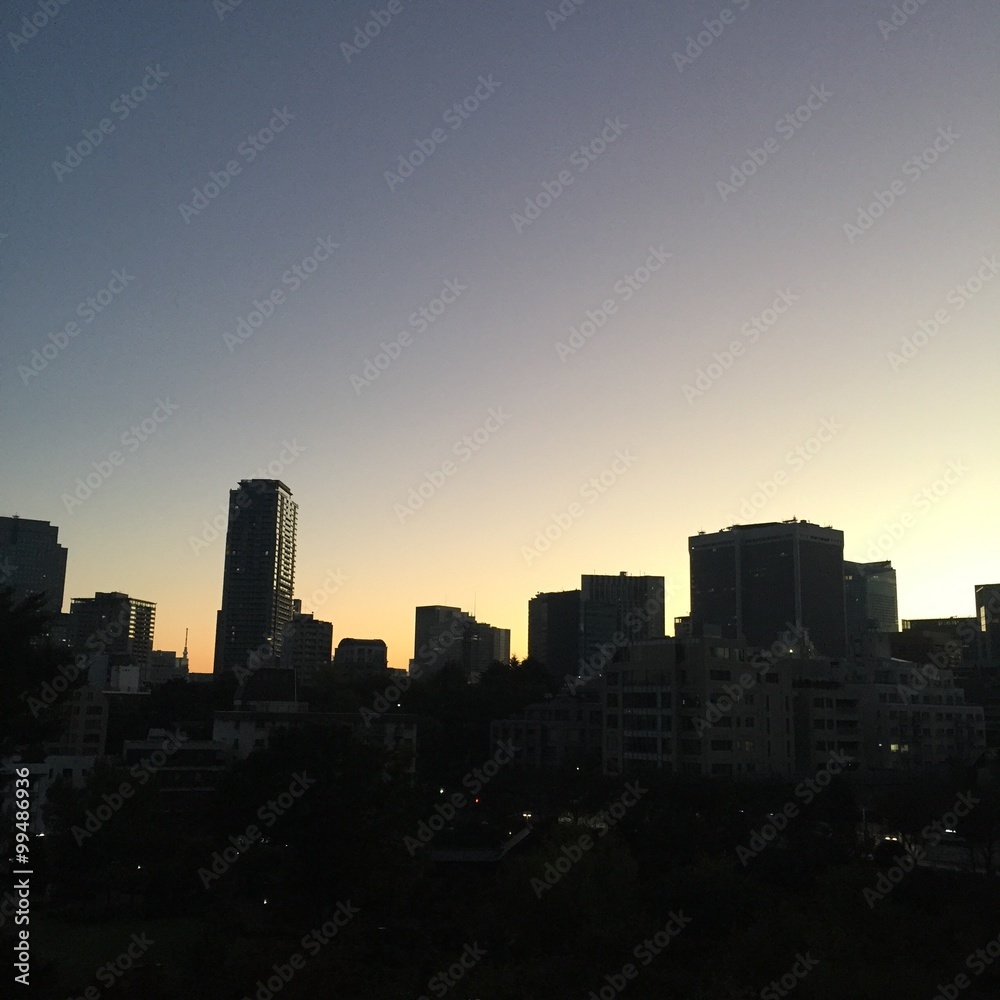 dawn dawn
