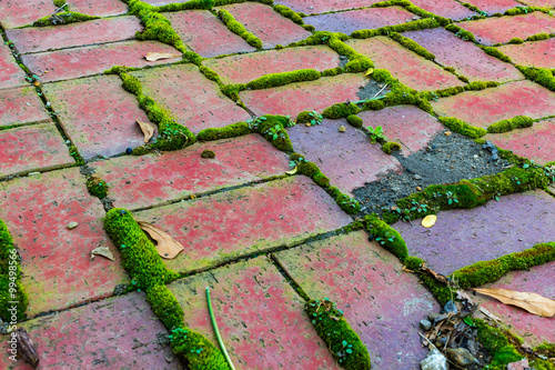 Red Brick with Green Moss photo