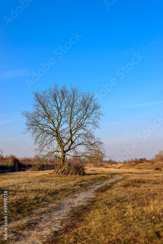 Natur in der Stadt: Biesenhorster Sand in Berlin