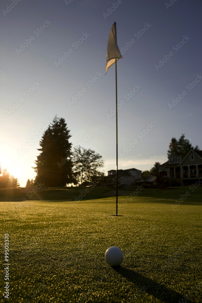Obraz premium The last shot , gold concepts
