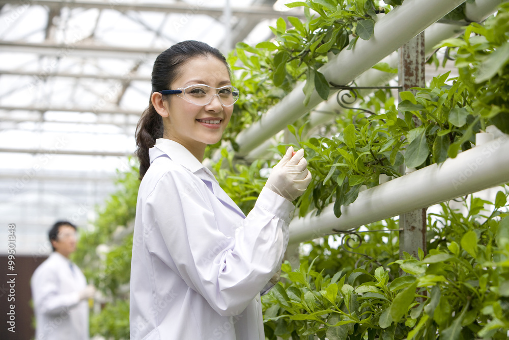 Scientists doing research in modern farm Scientists doing research in modern farm