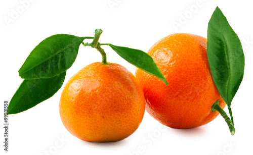 Two ripe tangerines isolated on white background