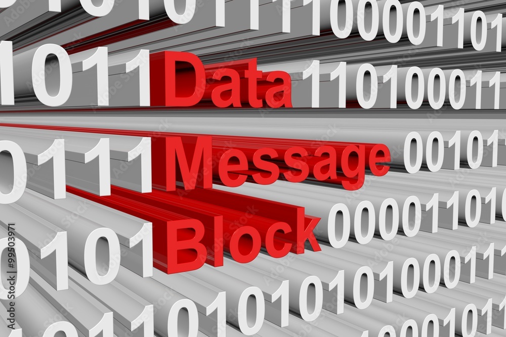 Data Message Block is represented as a binary code Data Message Block is represented as a binary code