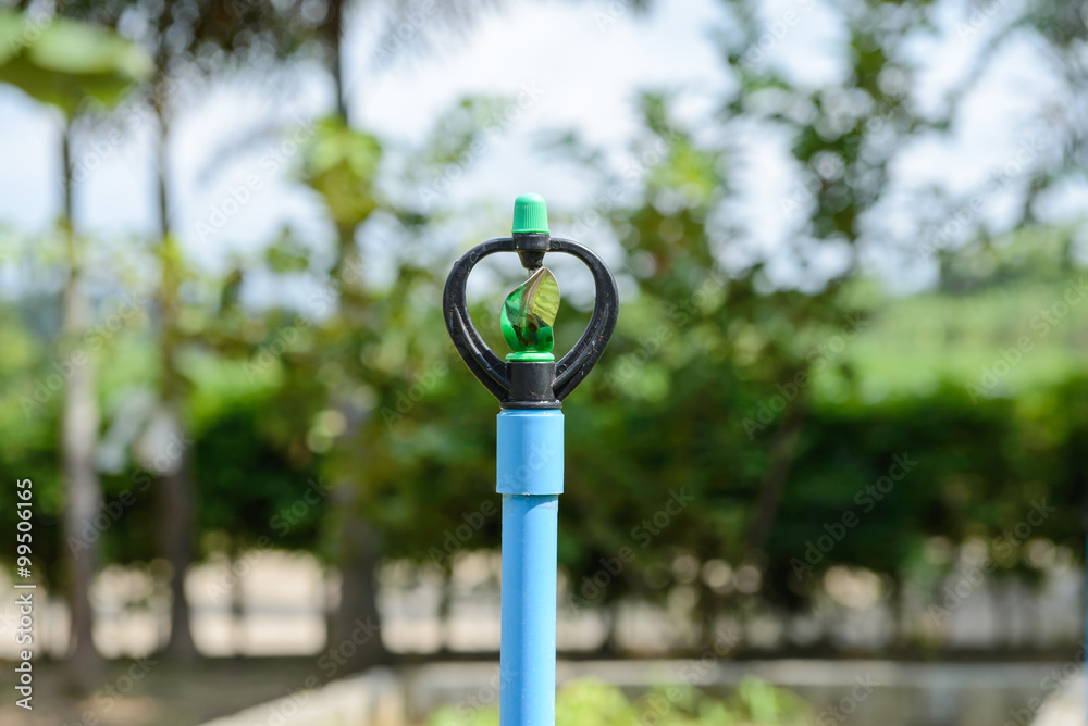 Fototapeta premium Sprinkler, Garden irrigation system watering lawn