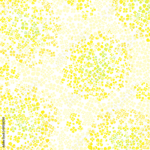 菜の花　模様