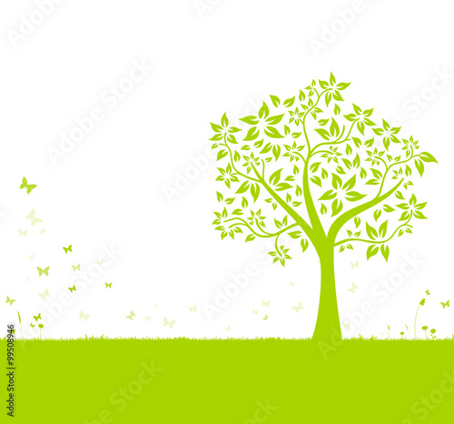 Baum und Wiese