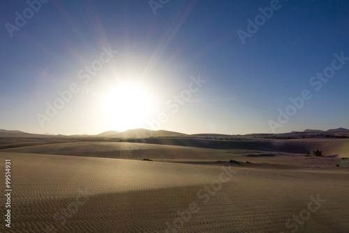 The Nature reserve, Park Natural, Corralejo, Fuerteventura, Cana