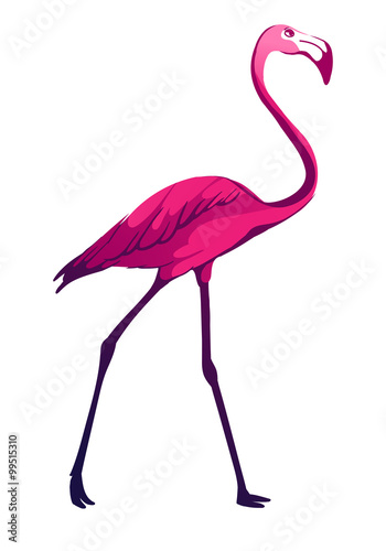 Tropical vector illustration.
