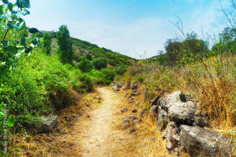 dirt path in Sardinian countryside