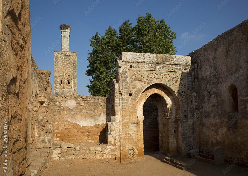 Mosque and minaret ruined of Chellah necropolis. Rabat. Morocco.