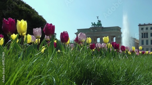 spring in Berlin, green grass and tulips at brandenburg gate, Brandenburger Tor