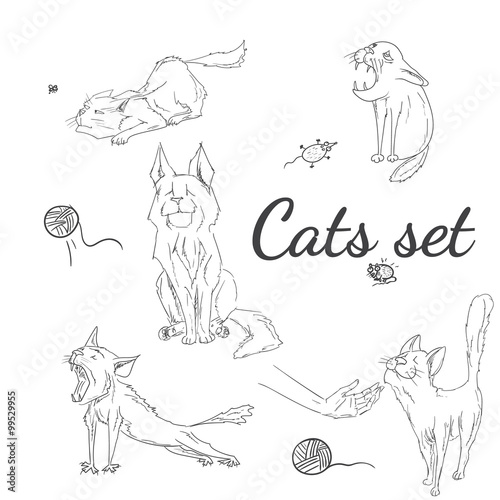 Hand drawn sketchy cats set