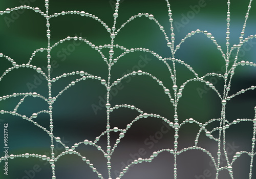 Toile d'araignée