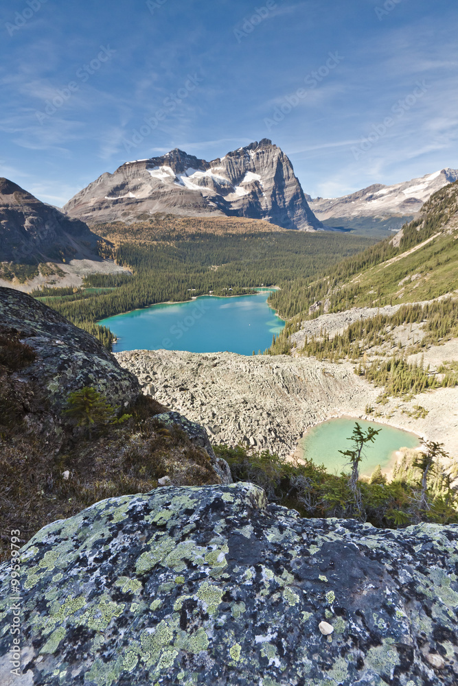 high overlooking view of the iconic Lake O'hara in Canadas mountains 