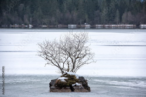 Frozen lake close up detail panorana photo