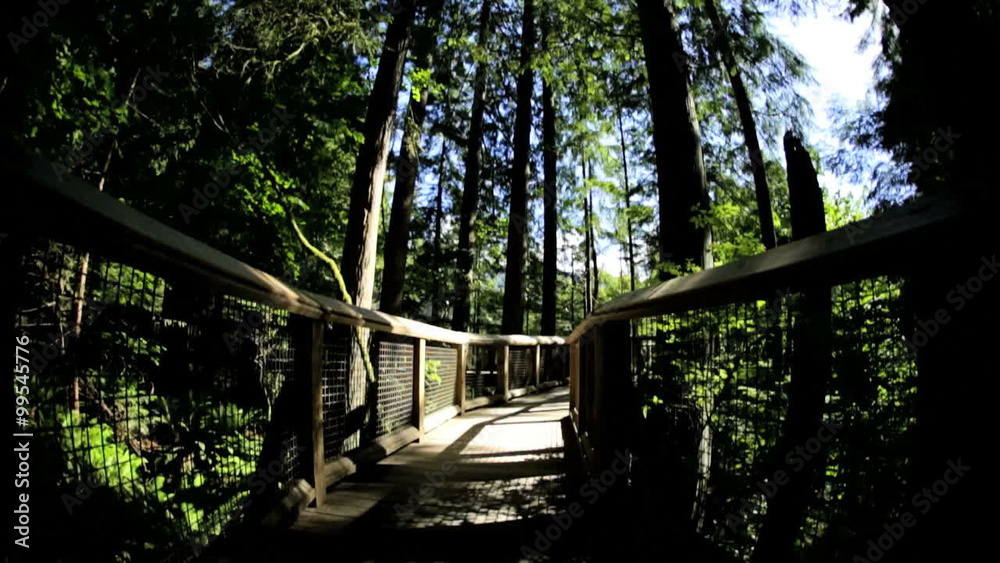 POV walking elevated pedestrian suspended Treetop walkway Capilano Vancouver POV walking elevated pedestrian suspended Treetop walkway Capilano Vancouver