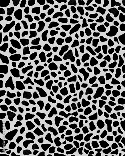 Black and white seamless texture of leopard  vector