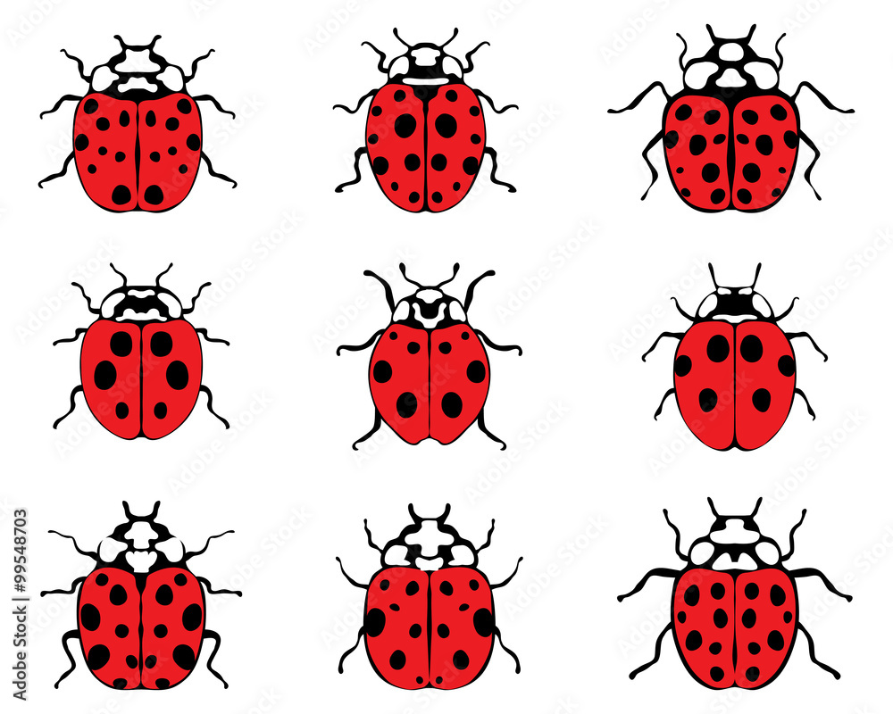 Fototapeta premium Set illustration of lady bugs, vector 