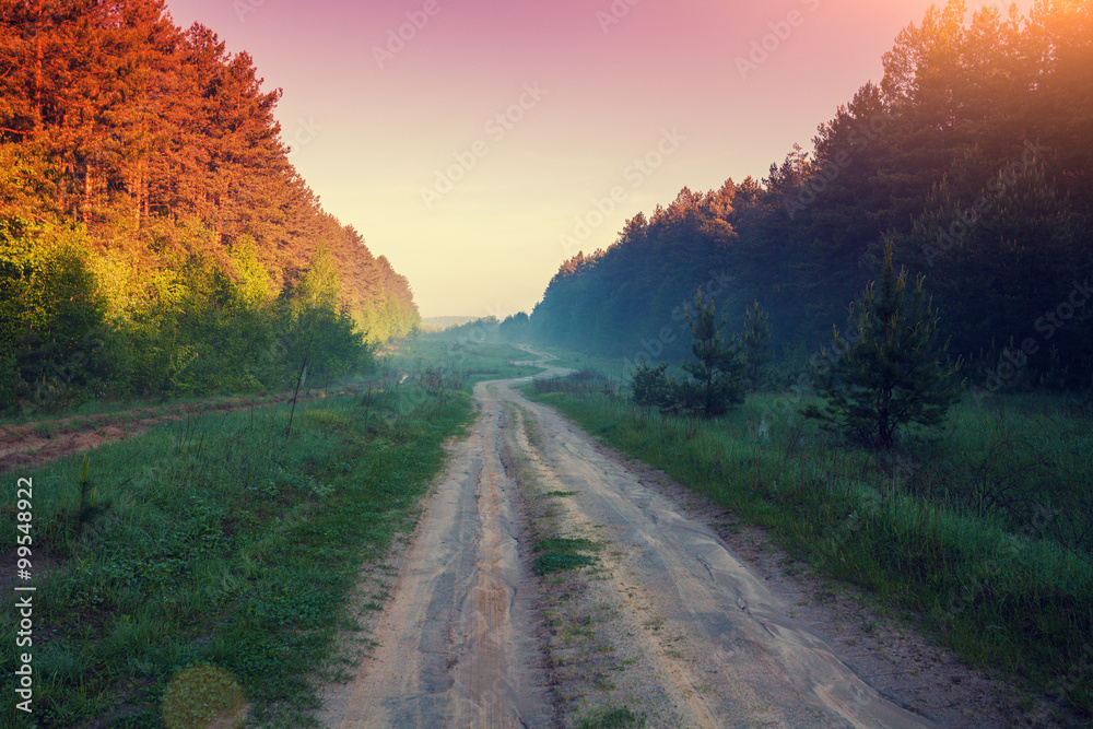 Rural autumn landscape, dirt road through the forest