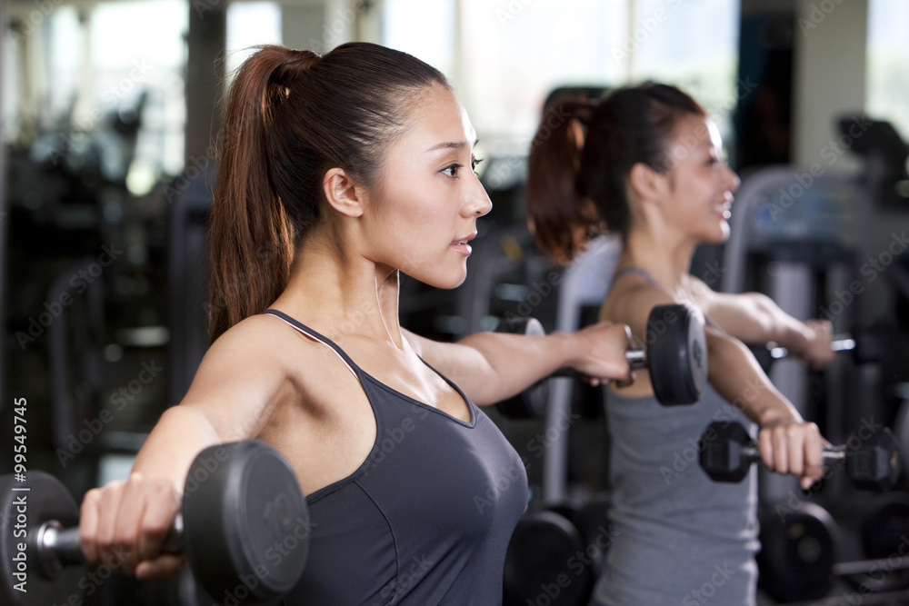 Young women lifting weights in gym Young women lifting weights in gym