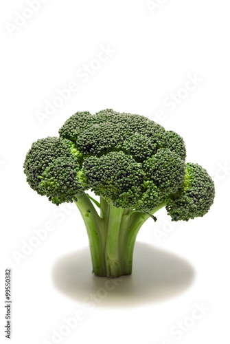 Healthy Broccoli/ Vertical shot of fresh broccoli with shadow on white background