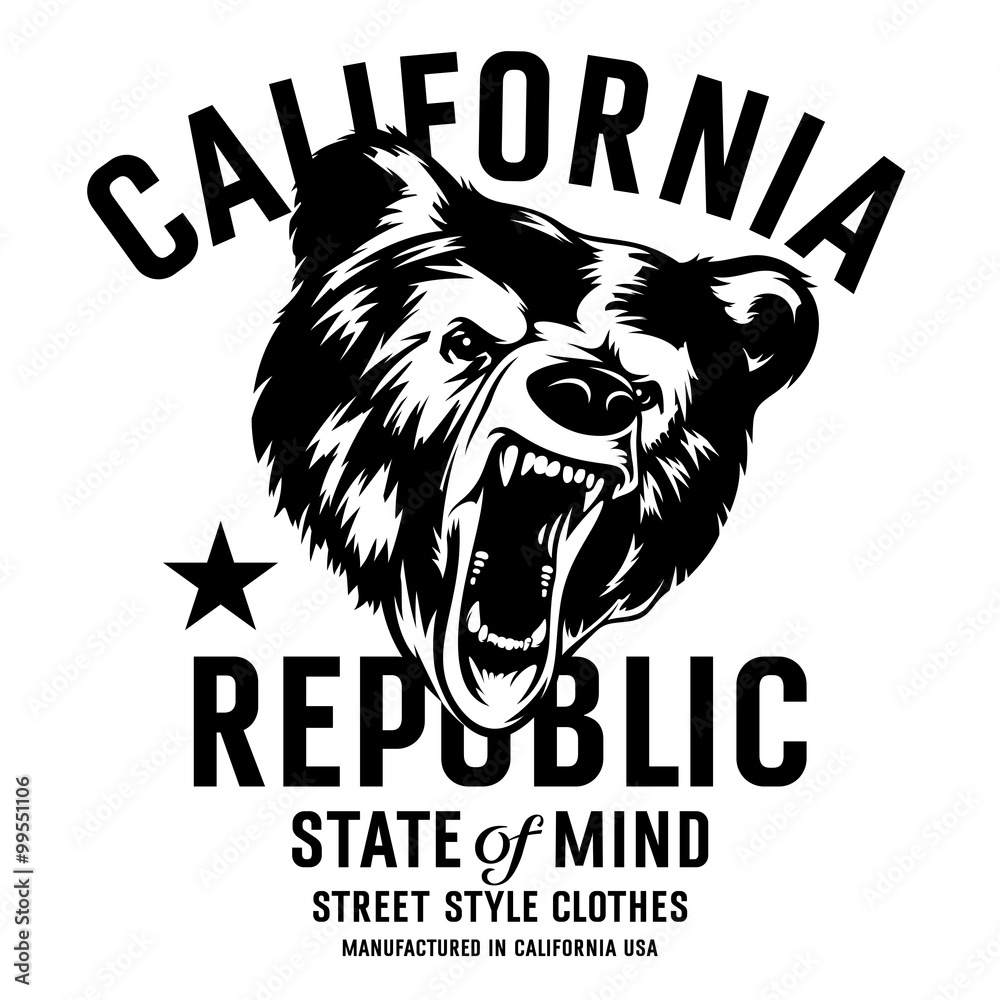 Obraz premium T shirt print 016