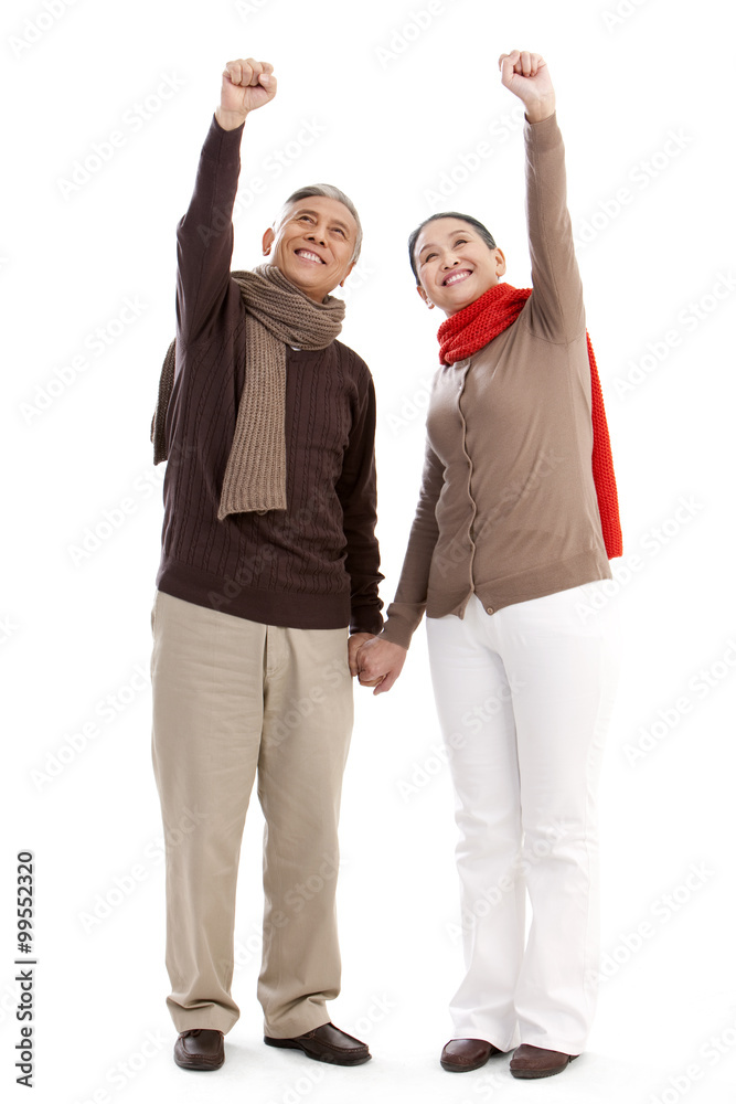 Obraz premium Senior couple punching the air