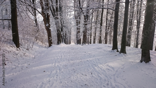 Winter road in mountains