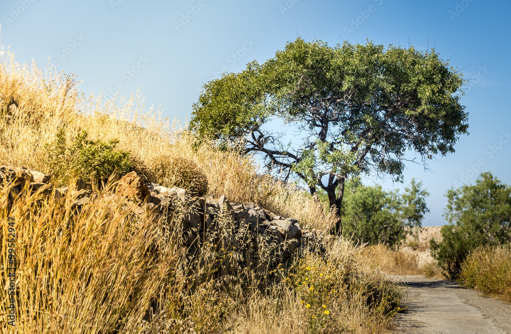 Obraz premium Hitzewelle