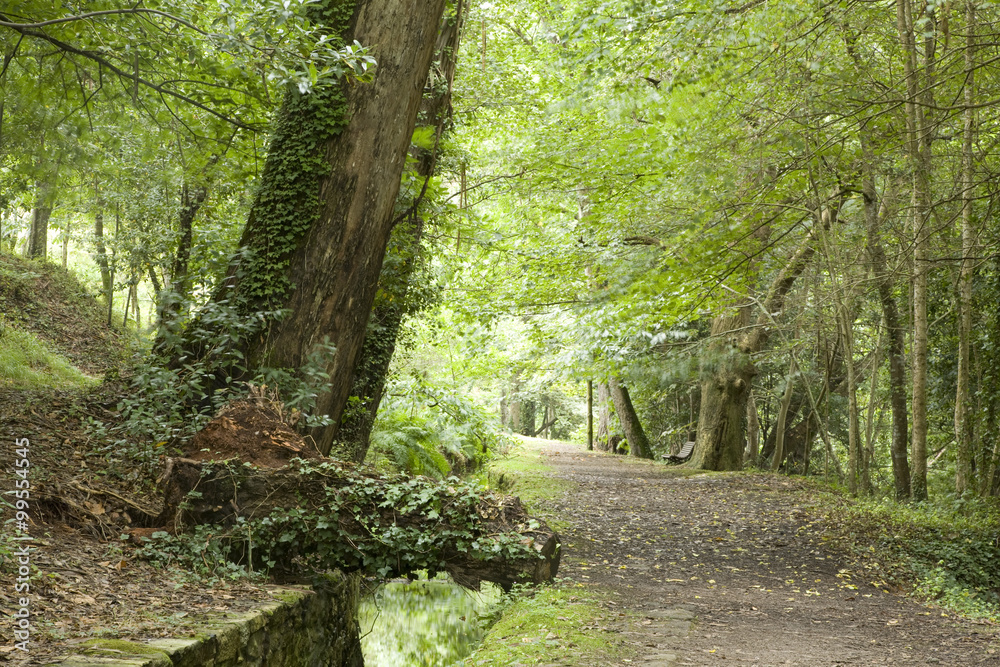 Obraz premium Lovers Way, Sagadelos, Cervo, Lugo, Galicia, Spain