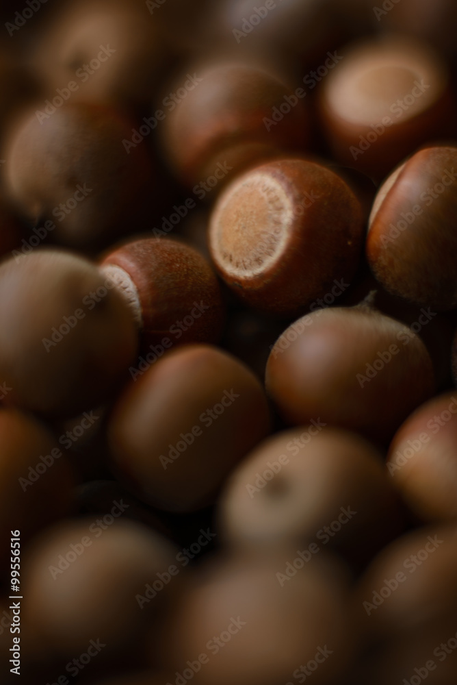 A group of acorns. A group of acorns.