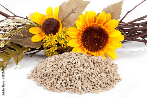 Sunflower Seeds Crop