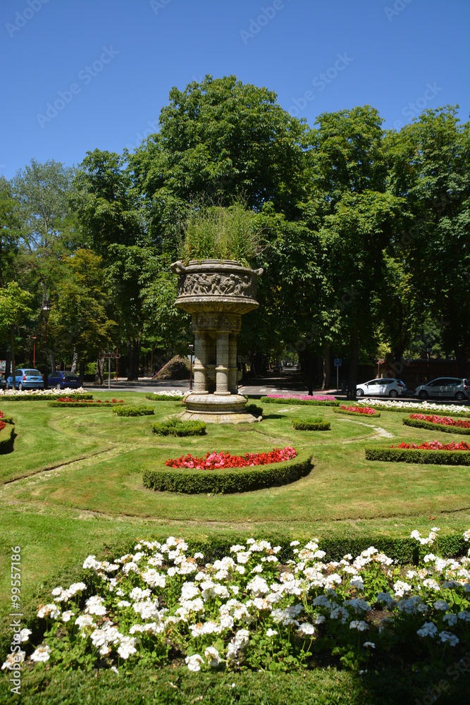 flores en un parque de Burgos