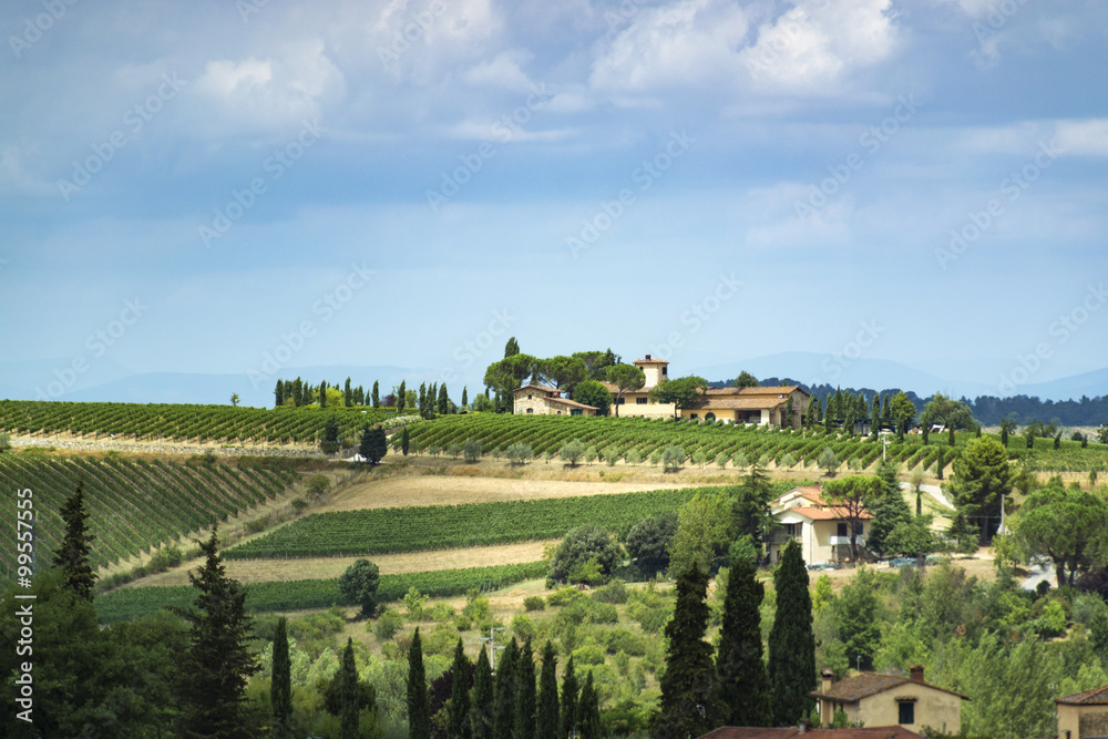 Italian village, Italy, Tuscany, Tuscany hills, Tuscany wealth, hill, olive trees, peace, siesta, summer, sunny day, vineyard, vineyards in Tuscany
