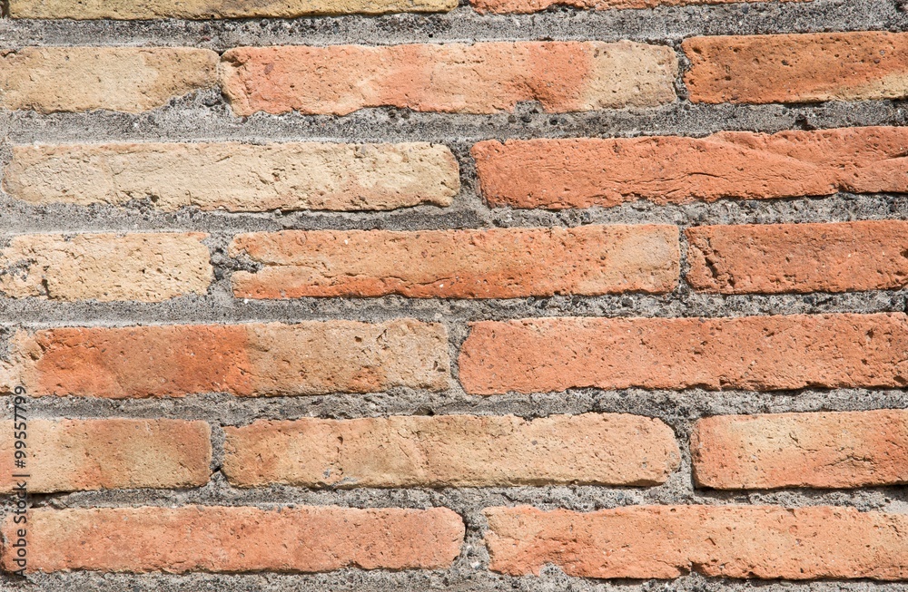 Fototapeta premium Brick wall
