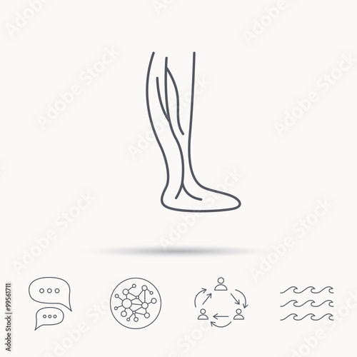 Phlebology icon. Leg veins sign.