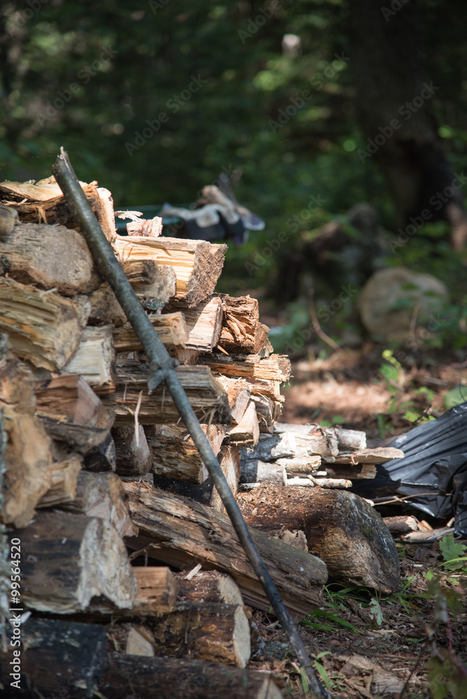 Wood stack, ready for winter in Quebec, Canada Wood stack, ready for winter in Quebec, Canada